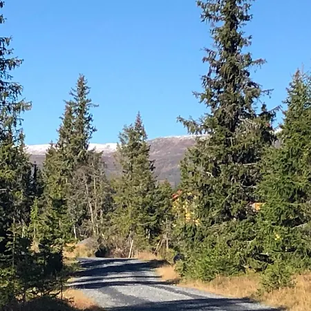 Sykkelhytte Ved Slatten I Synnfjellet Nord Torpa Exterior photo