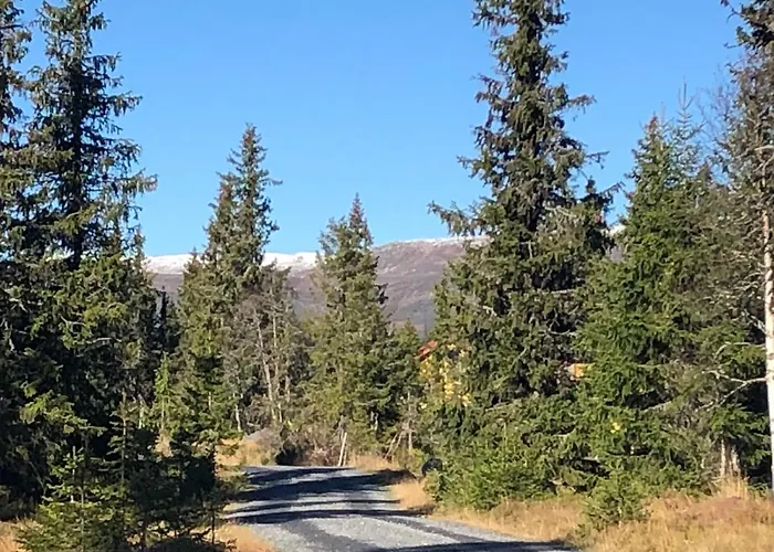 Sykkelhytte Ved Slatten I Synnfjellet