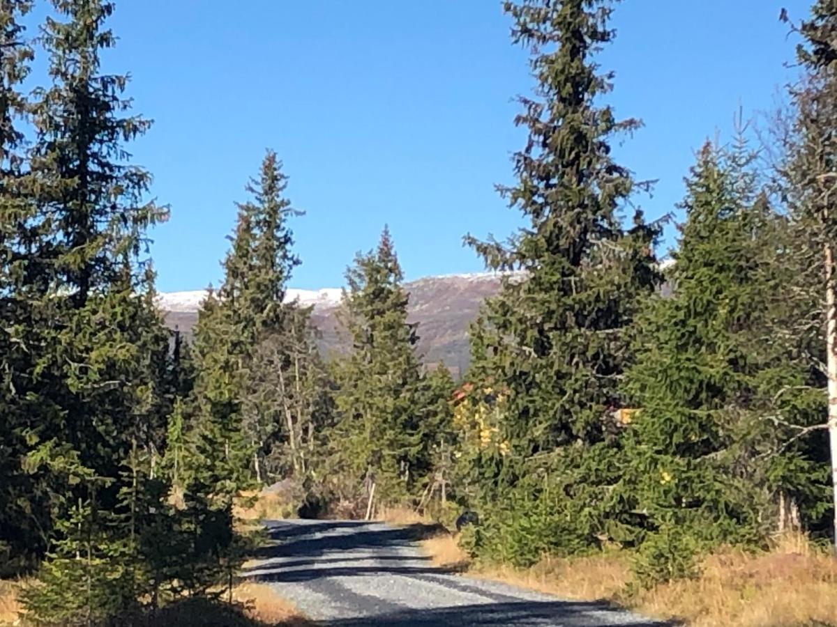Sykkelhytte Ved Slatten I Synnfjellet Holiday home *